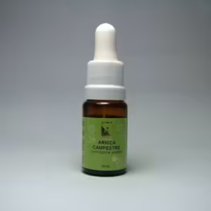 Arnica Campestre Floral de Minas 10 ml
