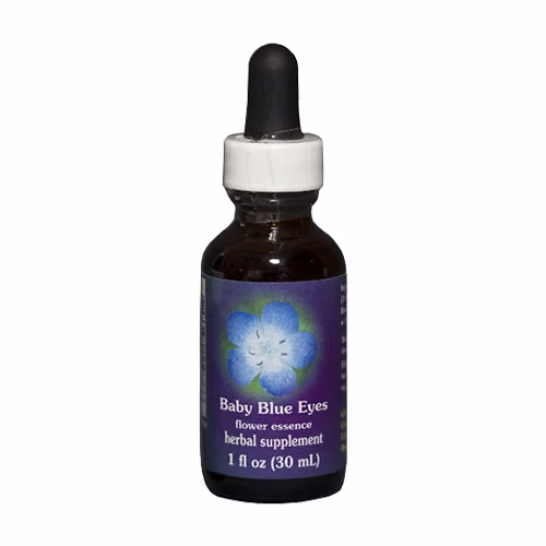 Baby Blue Eyes Floral da Califórnia 30 ml - Imagem 2
