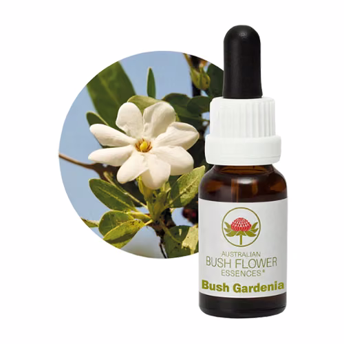 Bush Gardenia Floral do Bush Australiano 15 ml