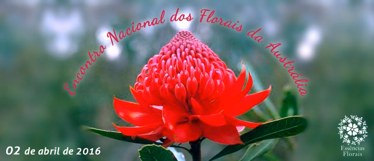 Encontro Nacional dos Florais da Austrália