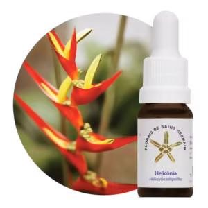Helicônia Floral de Saint Germain 10 ml