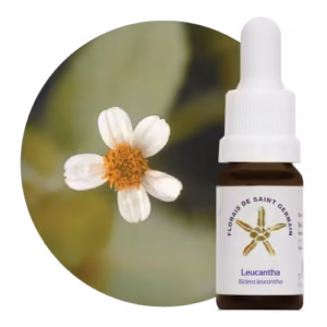 Leucantha Floral de Saint Germain 10 ml