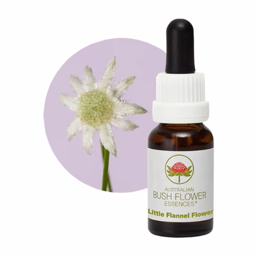 Little Flannel Flower Floral do Bush Australiano 15 ml