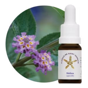 Melissa Floral de Saint Germain 10 ml