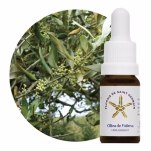 Oliva de Fátima Floral de Saint Germain 10 ml