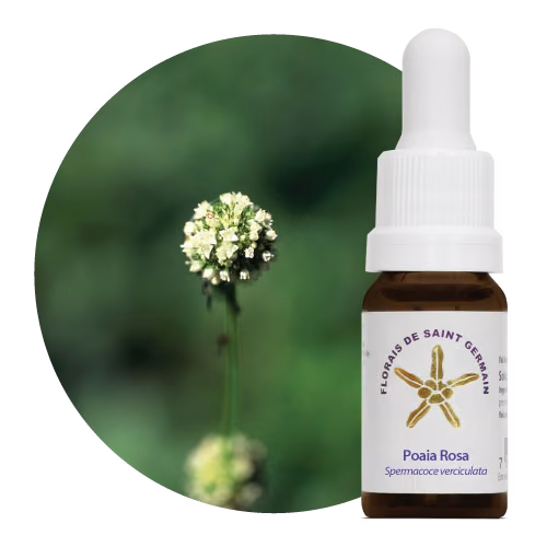 Poaia Rosa Floral de Saint Germain 10 ml