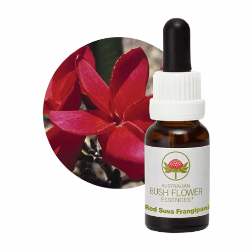Red Suva Frangipani Floral do Bush Australiano 15 ml