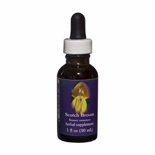 Scotch Broom Floral da Califórnia 30 ml - Imagem 2