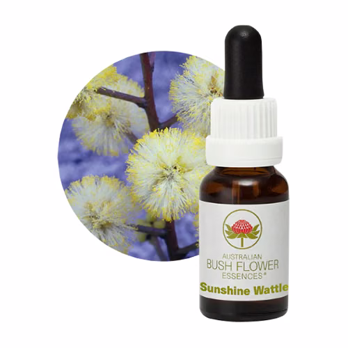 Sunshine Wattle Floral do Bush Australiano 15 ml
