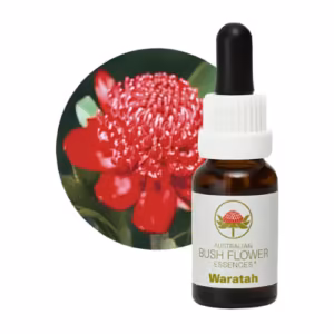Waratah Floral do Bush Australiano 15 ml